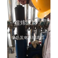 过滤器滤网21FH1330-36.15-10双联不锈钢滤网