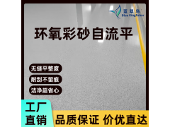 外贸合作工厂 蓝翠鸟环氧彩砂地坪漆 新形态地面材料图4