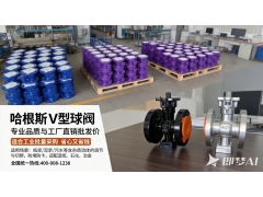 哈根斯v型球阀 媲美超达良精品质 燃气水务工业阀 现货非标定制图4