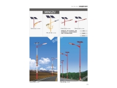 各种道路照明及户外照明产品（可施工）图6
