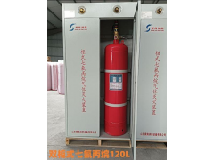 厂家直销 柜式七氟丙烷灭火装置GQQ120*2 机房配电室专用图2