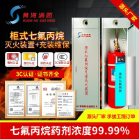 七氟丙烷灭火器双柜式气体灭火装置GQQ90药剂机房商用