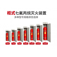 山东七氟丙烷灭火器双柜式气体灭火装置GQQ40灭火机房